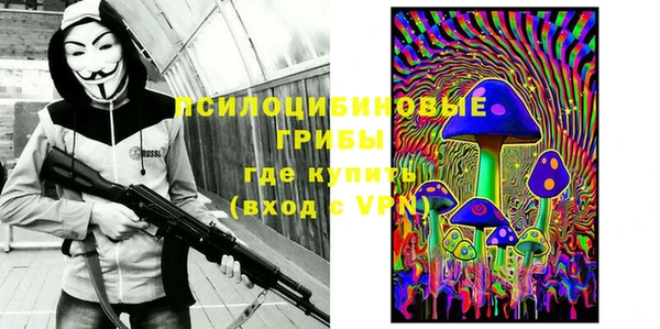 твердый Белокуриха