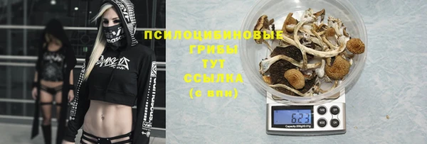 твердый Белокуриха