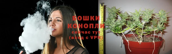 твердый Белокуриха