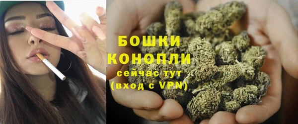 твердый Белокуриха