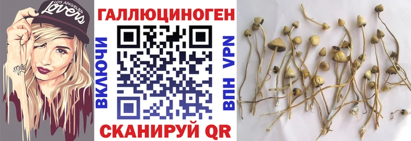 гидра ССЫЛКА  нарко площадка состав  Верея  Псилоцибиновые грибы Magic Shrooms  закладка 